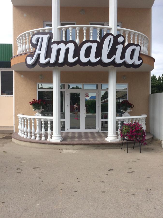 Amalia Hotel Zaliznyy Havn Eksteriør billede