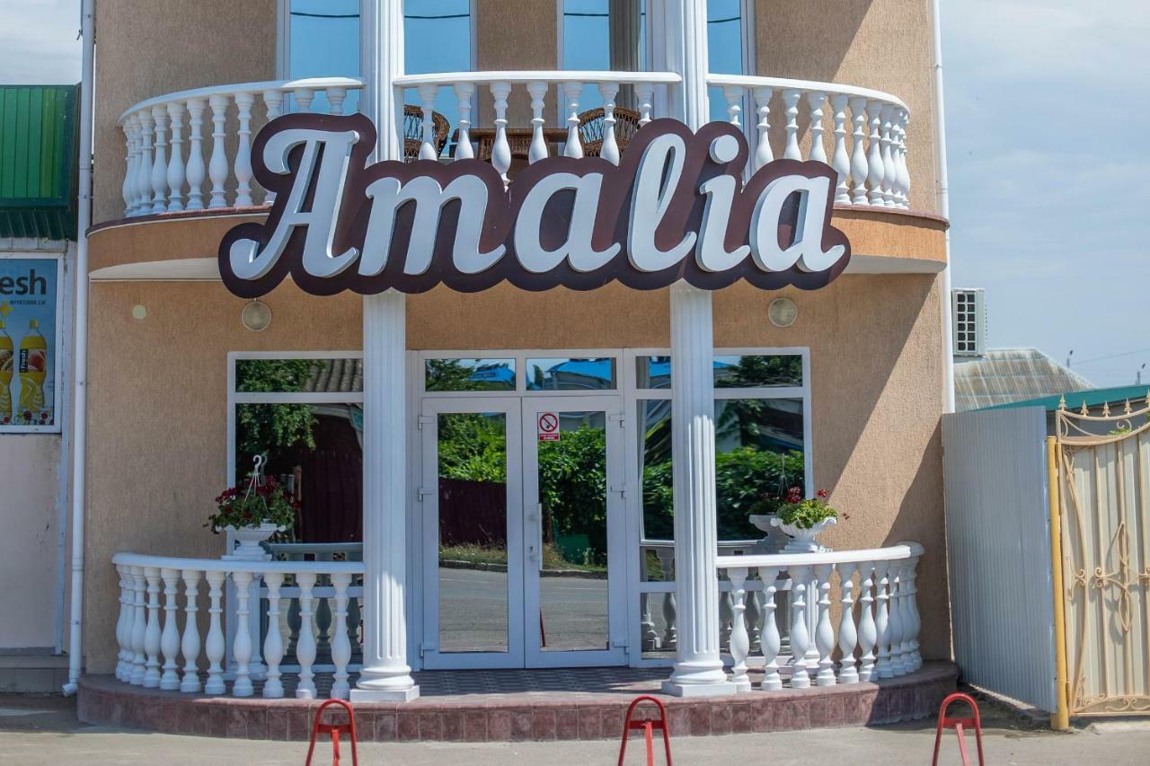 Amalia Hotel Zaliznyy Havn Eksteriør billede