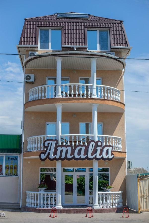 Amalia Hotel Zaliznyy Havn Eksteriør billede